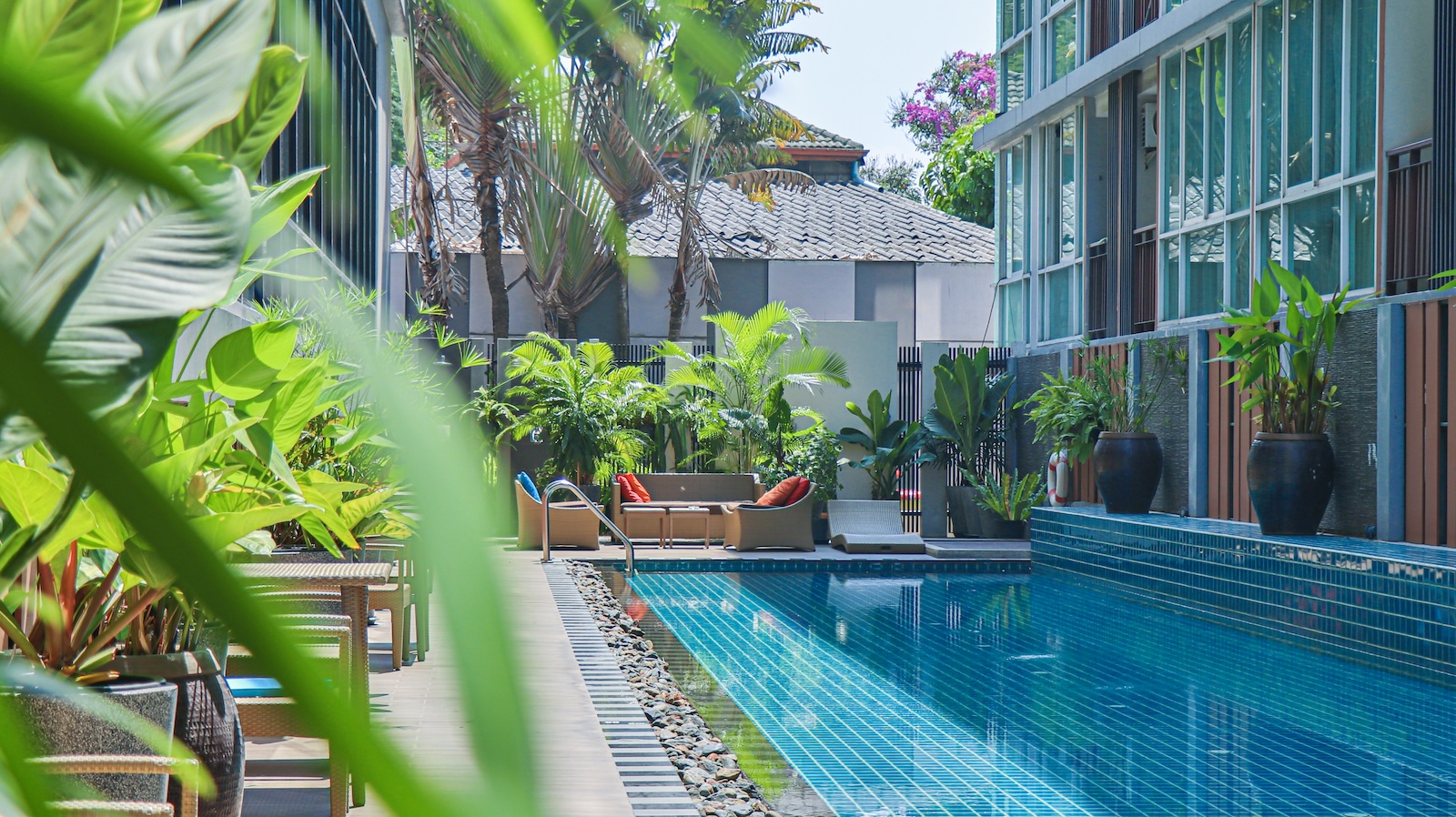 Outdoor swimming pool