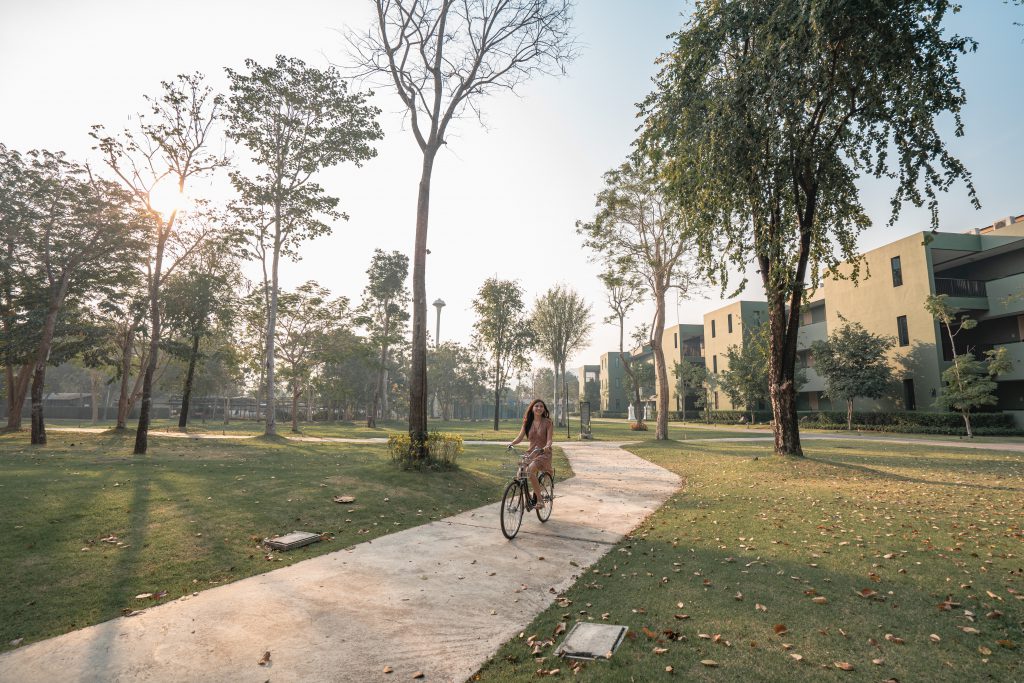 Bicycle Rental